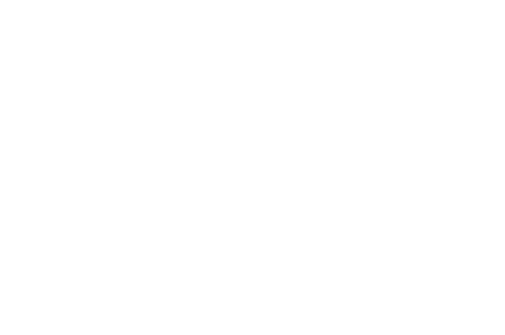 Armani